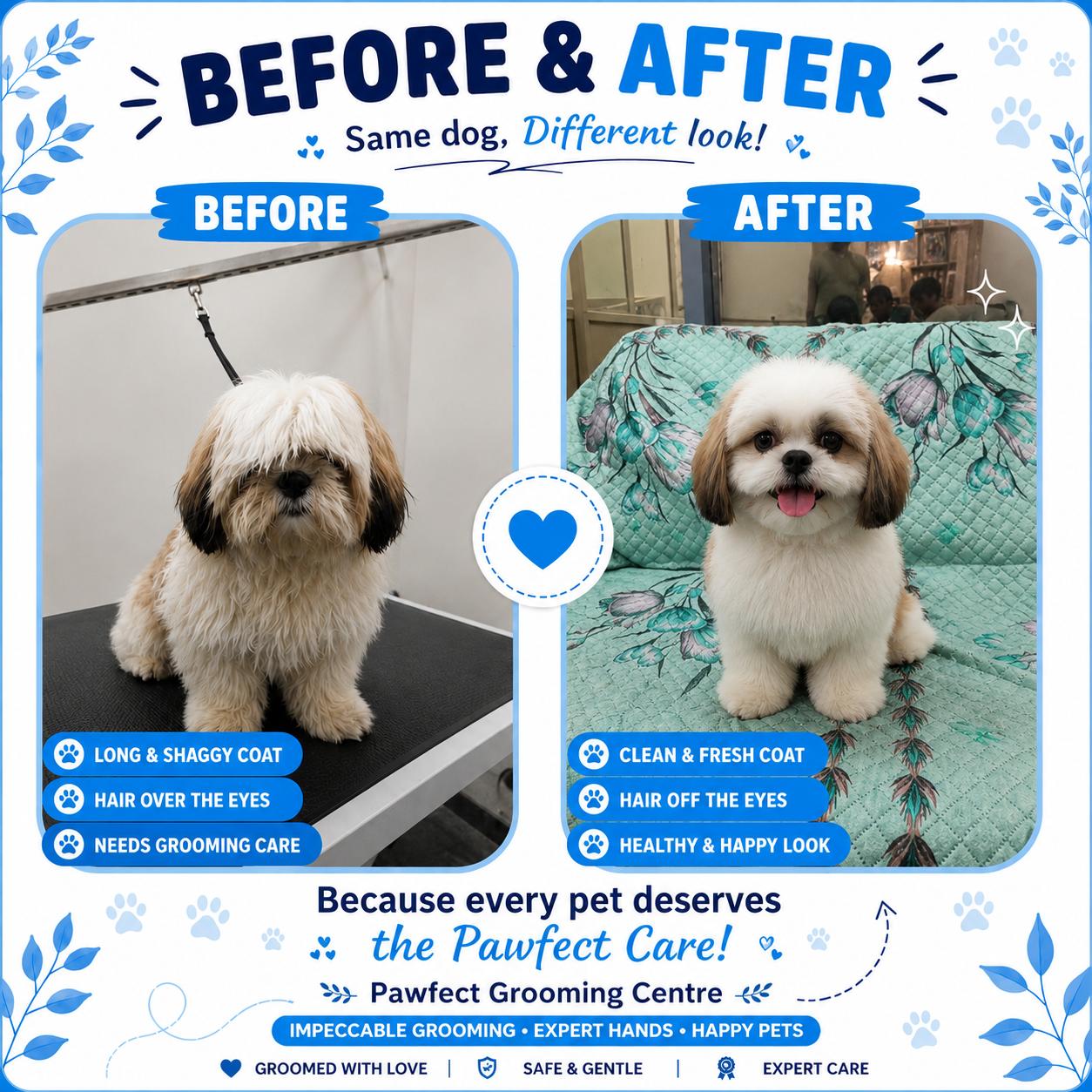 Work by Pawfect Grooming Centre