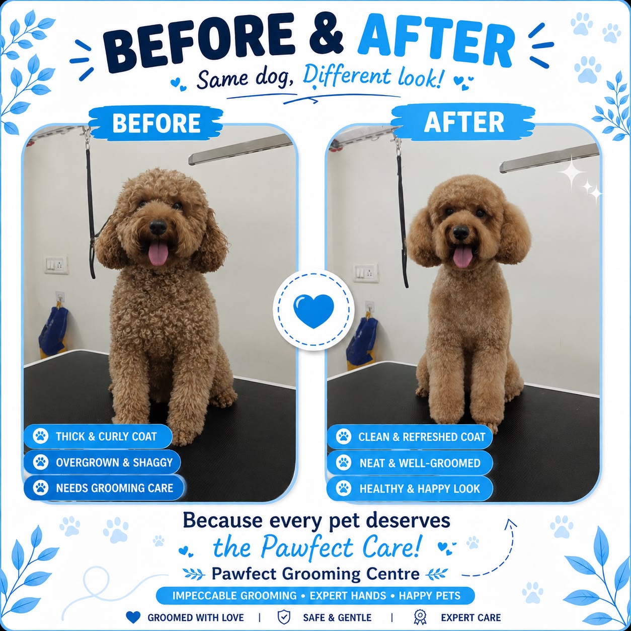 Work by Pawfect Grooming Centre