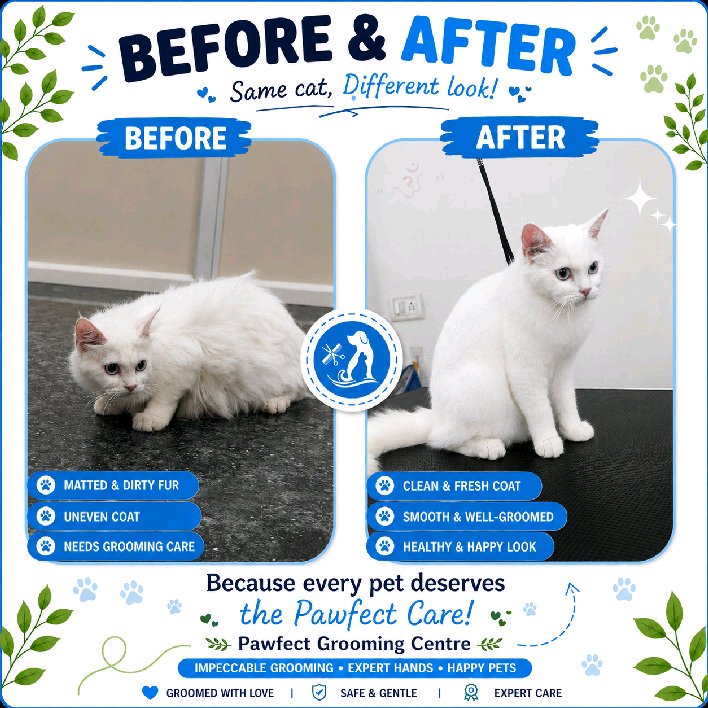 Work by Pawfect Grooming Centre