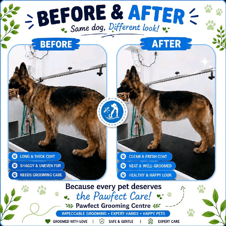 Work by Pawfect Grooming Centre