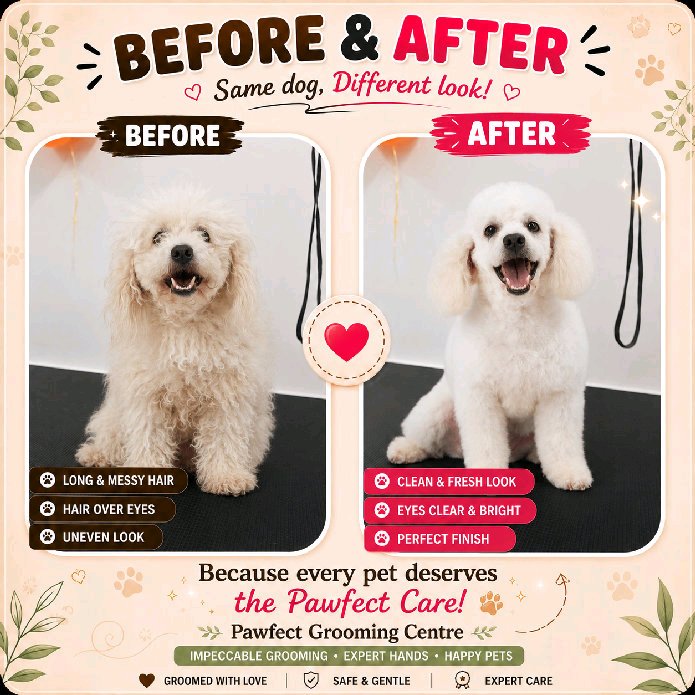 Work by Pawfect Grooming Centre