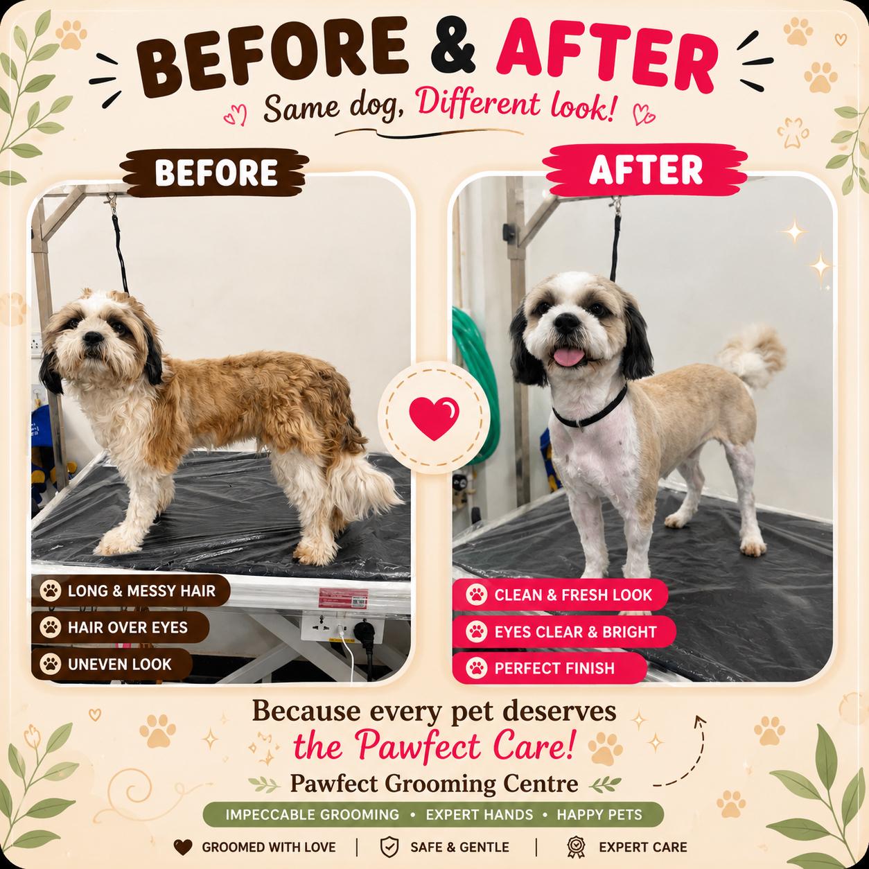 Work by Pawfect Grooming Centre
