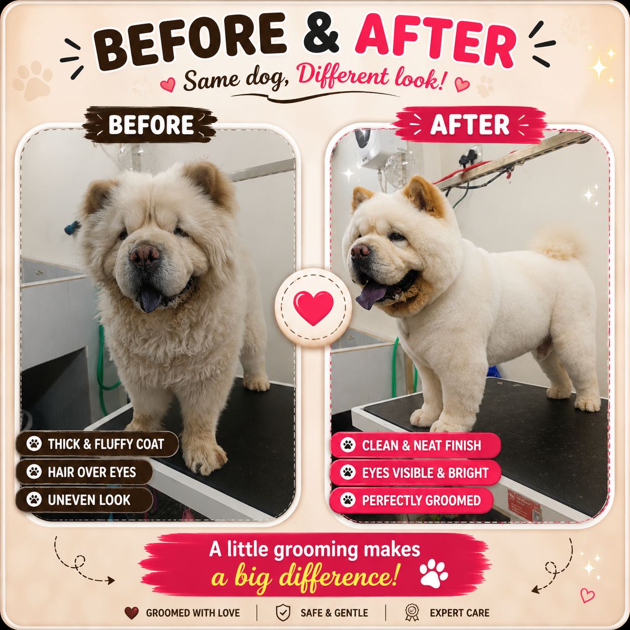 Work by Pawfect Grooming Centre