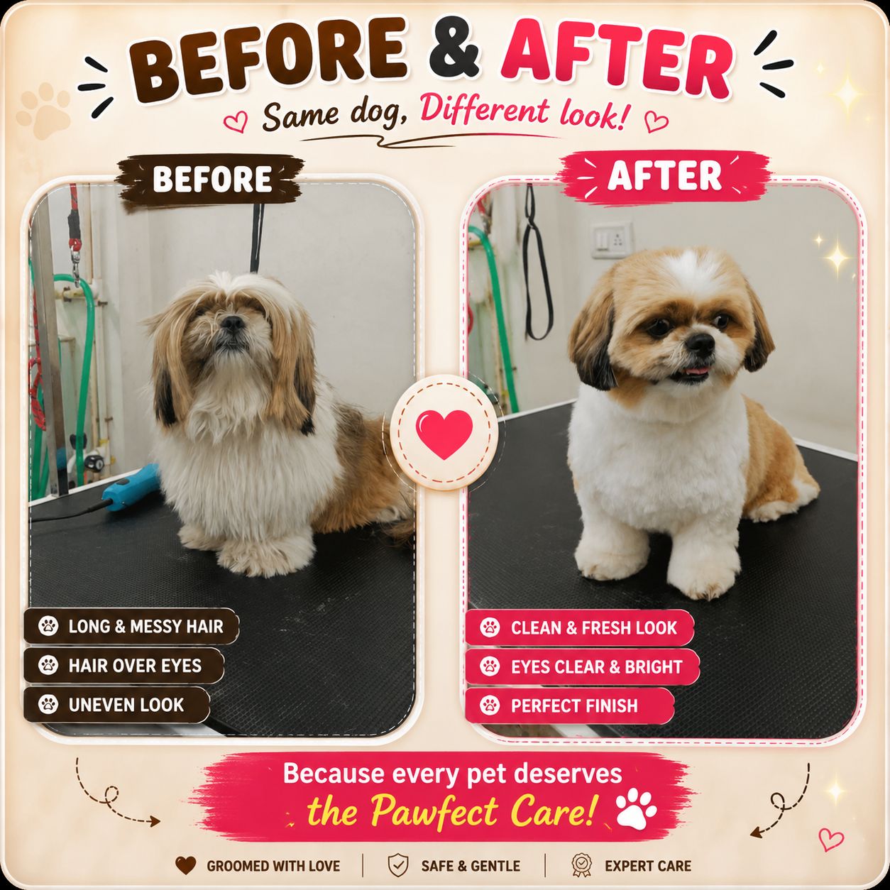 Work by Pawfect Grooming Centre