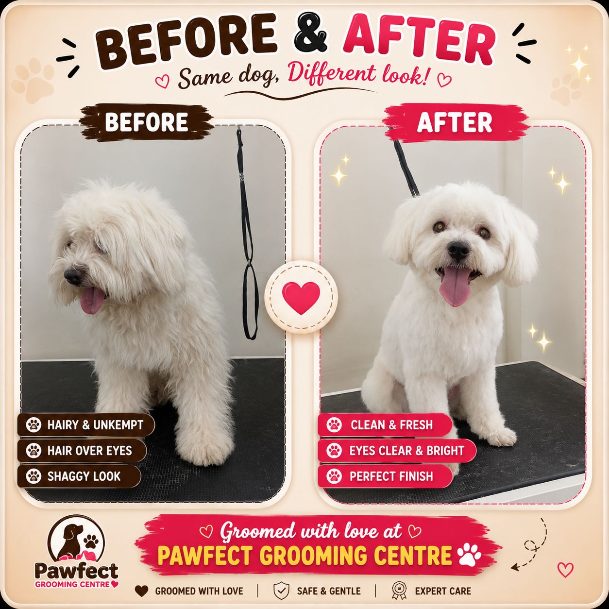 Work by Pawfect Grooming Centre