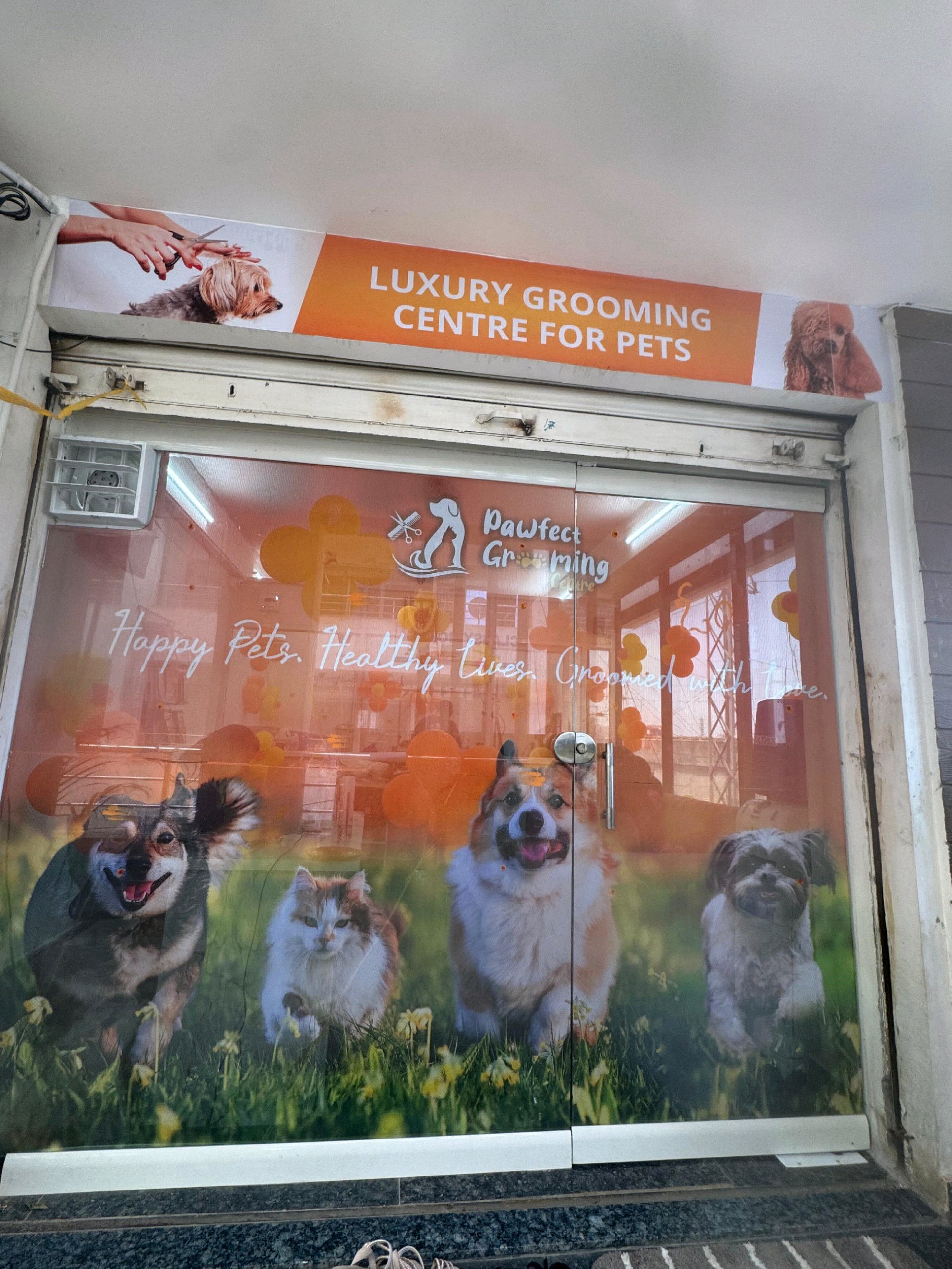 Work by Pawfect Grooming Centre