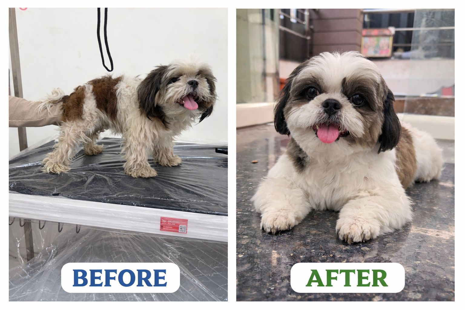 Work by Pawfect Grooming Centre