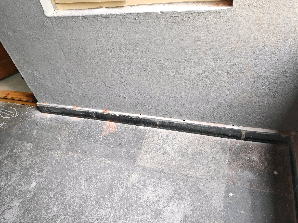 Work by Radhika pest control