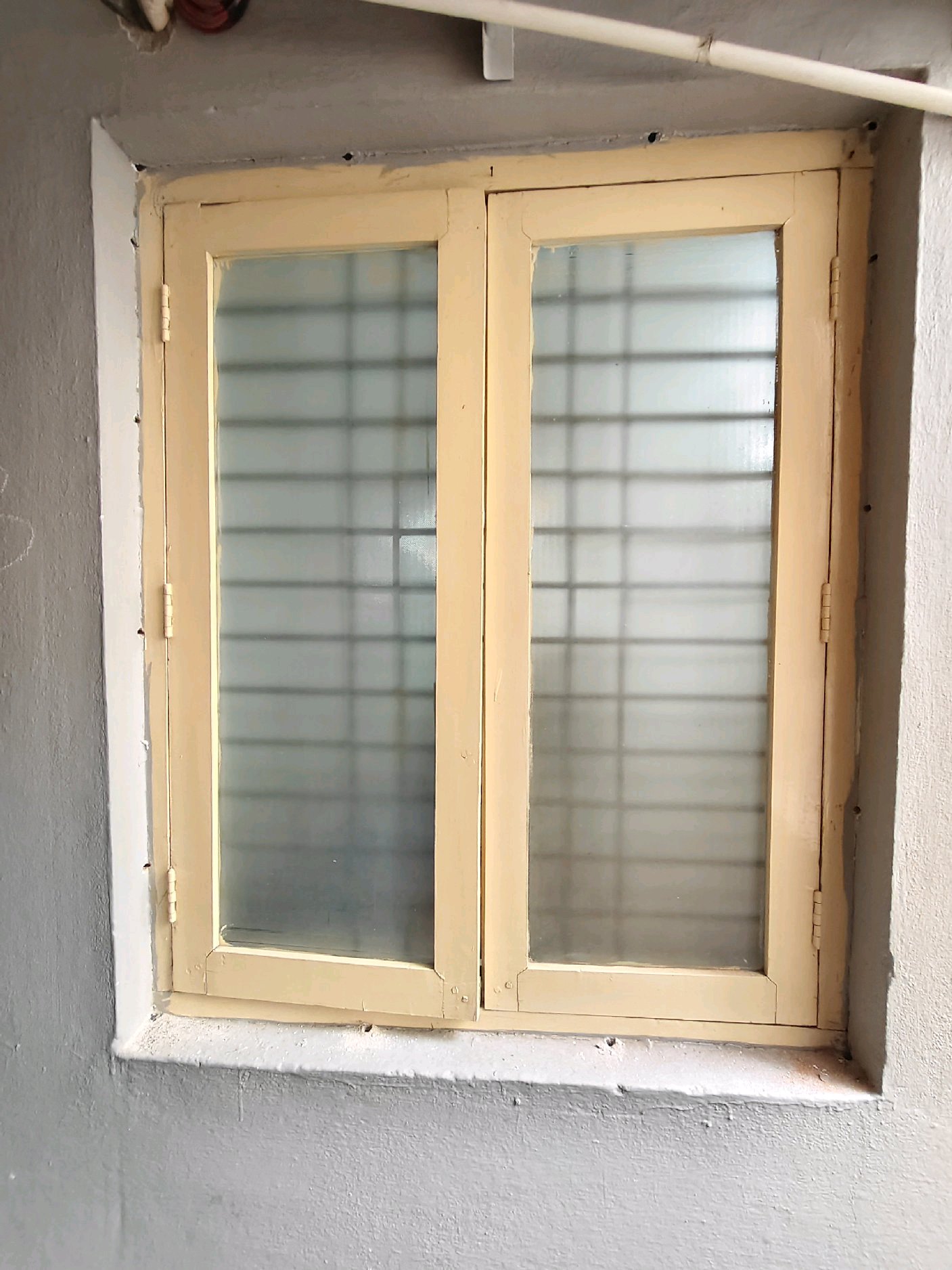 Work by Radhika pest control