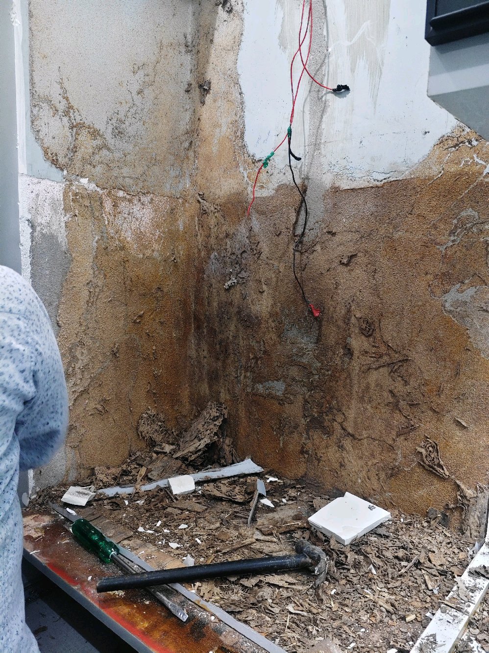 Work by Radhika pest control