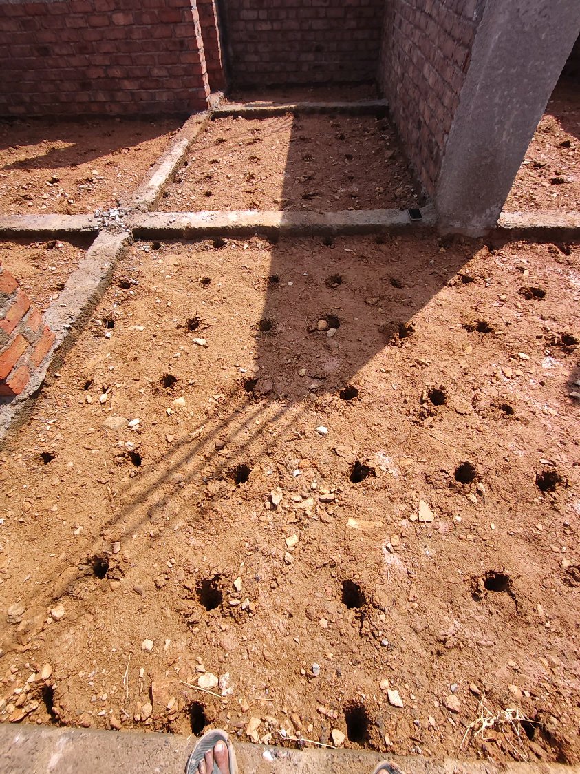 Work by Radhika pest control